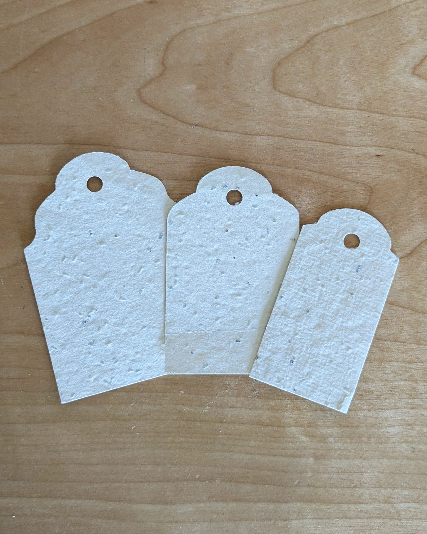Plantable Wildflower Seed Paper Tags: Set of 3
