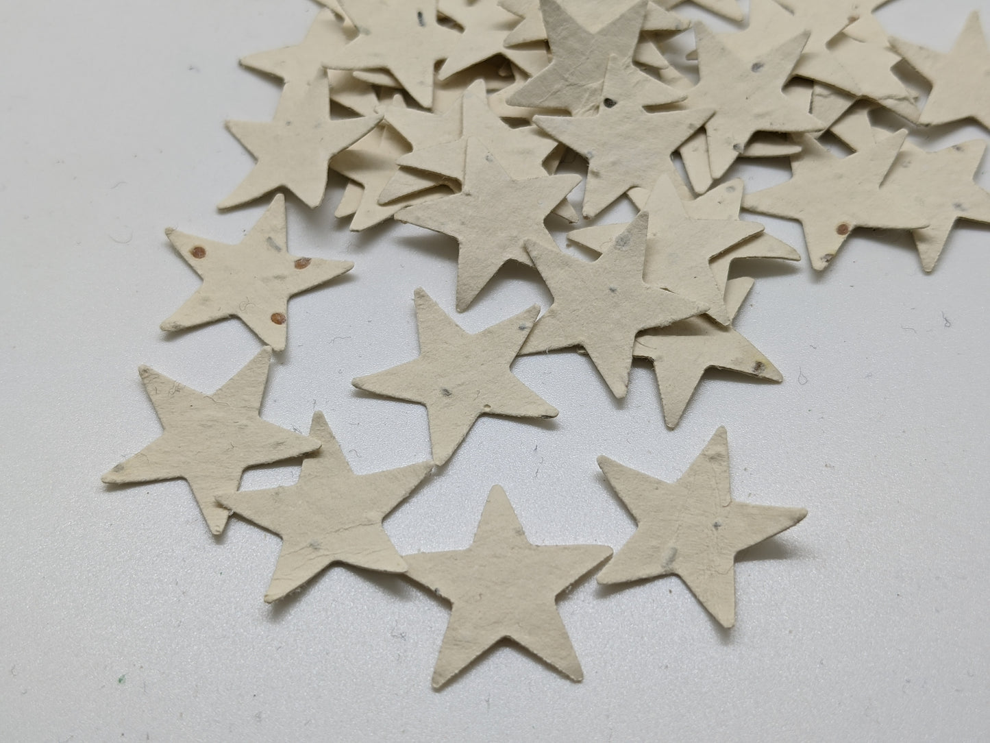 Biodegradable Seed Paper Confetti : Star