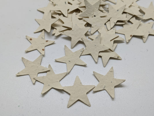 Biodegradable Seed Paper Confetti : Star