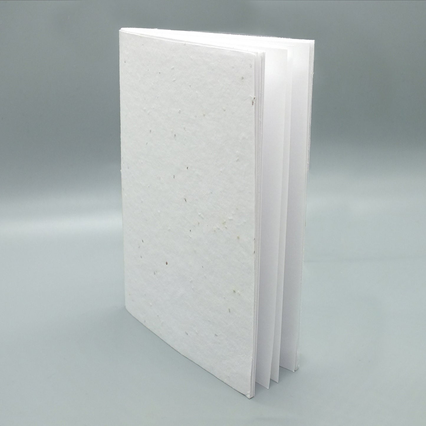 Seed Notebook: Eco Friendly B6 Recycled Paper