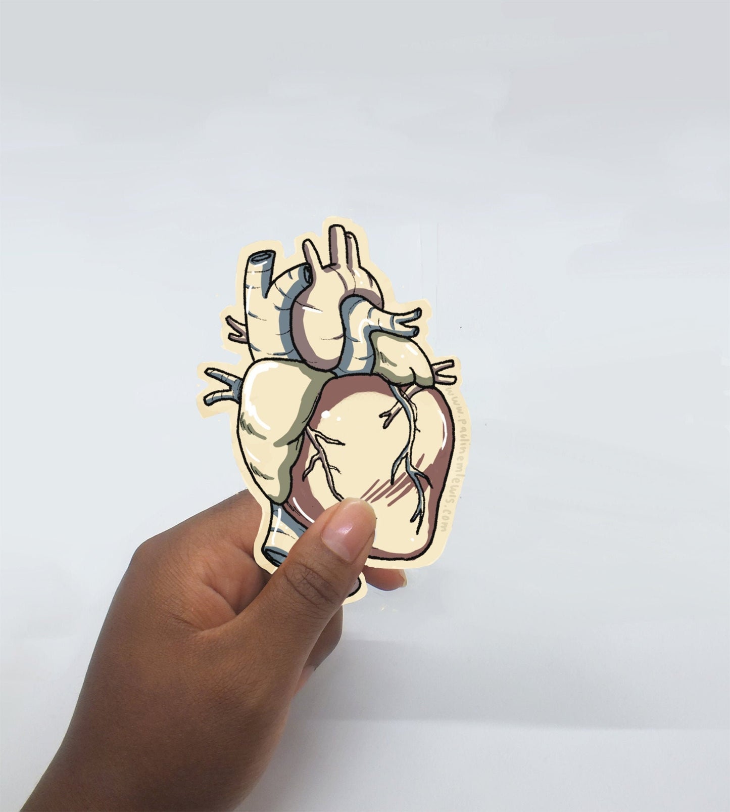 Anatomical Heart Eco Friendly Sticker