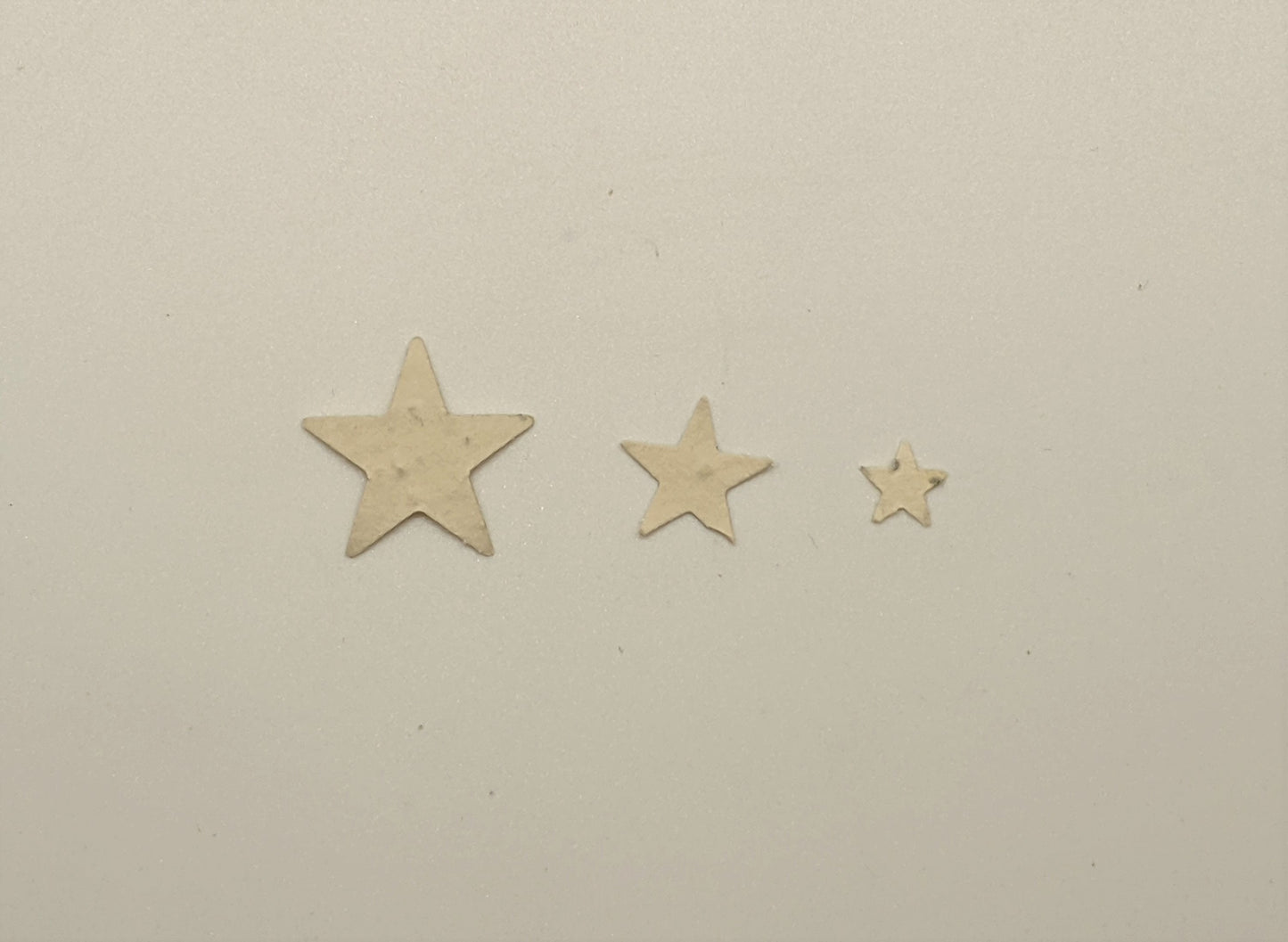 Biodegradable Seed Paper Confetti : Star