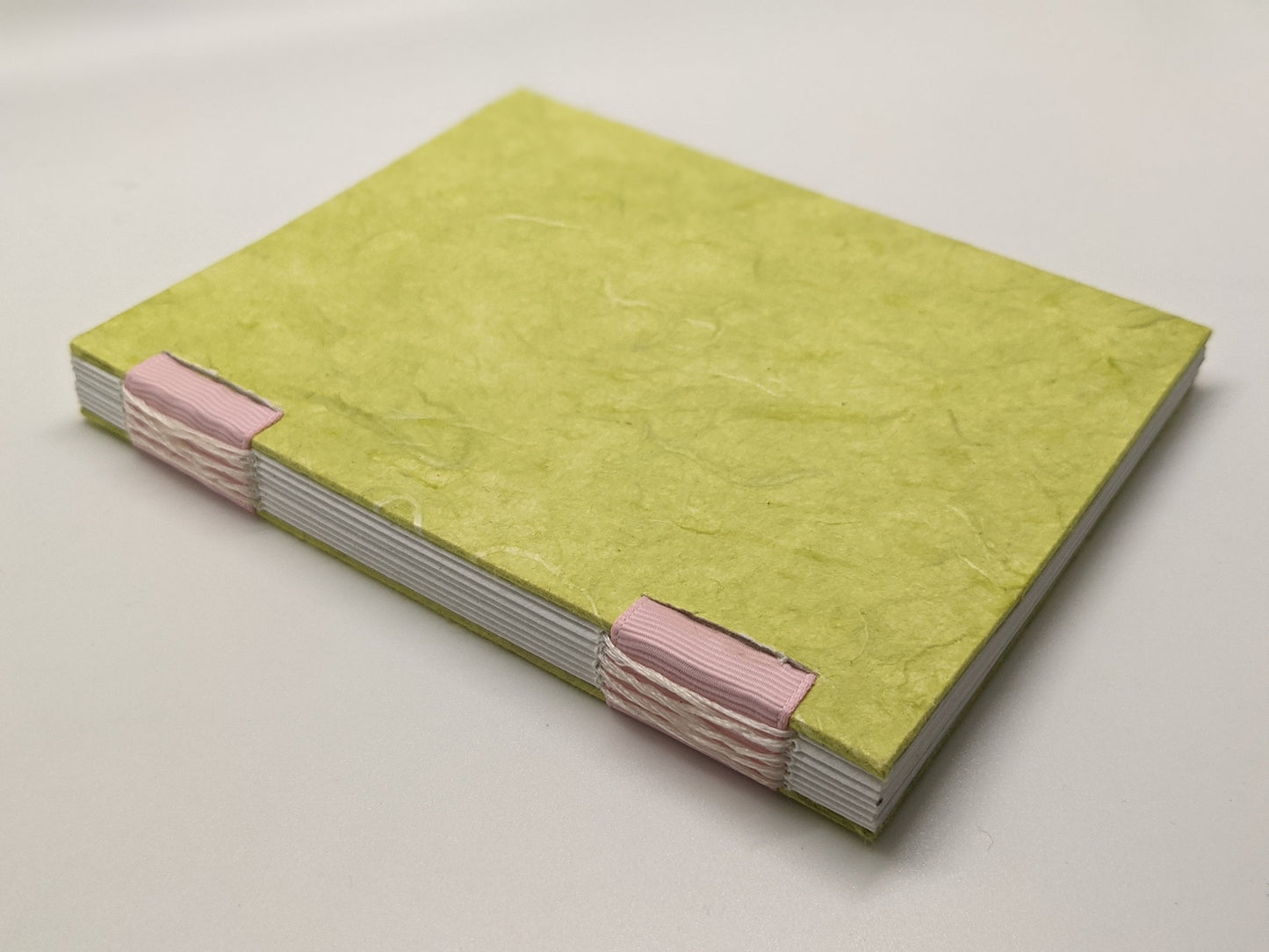 Fruit Travel Journal: Guava A6 Blank Notebook